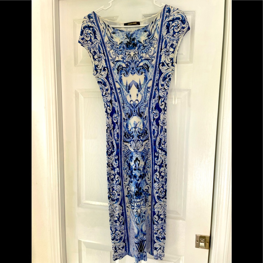 Roberto cavalli dress